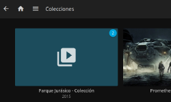 Featured image of post Caráturas en las Colecciones de Jellyfin