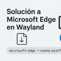 Solucionar el cierre de Microsoft Edge en Linux (Wayland) al descargar Archivos